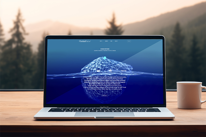Chabad Network